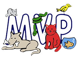 Most Valuable Pets | Lexington's Local choice for your MVP!
